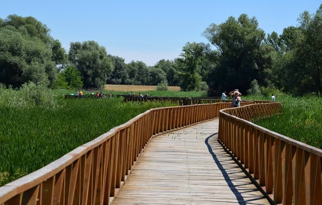 Along the boardwalk to Lake Sakadash and the boat dock in Kopacki Rit